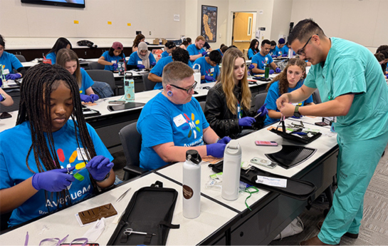 AvenueM suture hands on demonstration